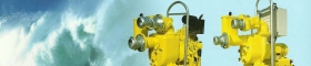 Colleluori1